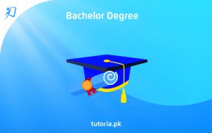 Bachelor Degree