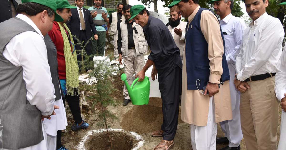 Pakistan Govt. to launch the biggest tree plantation drive in the history